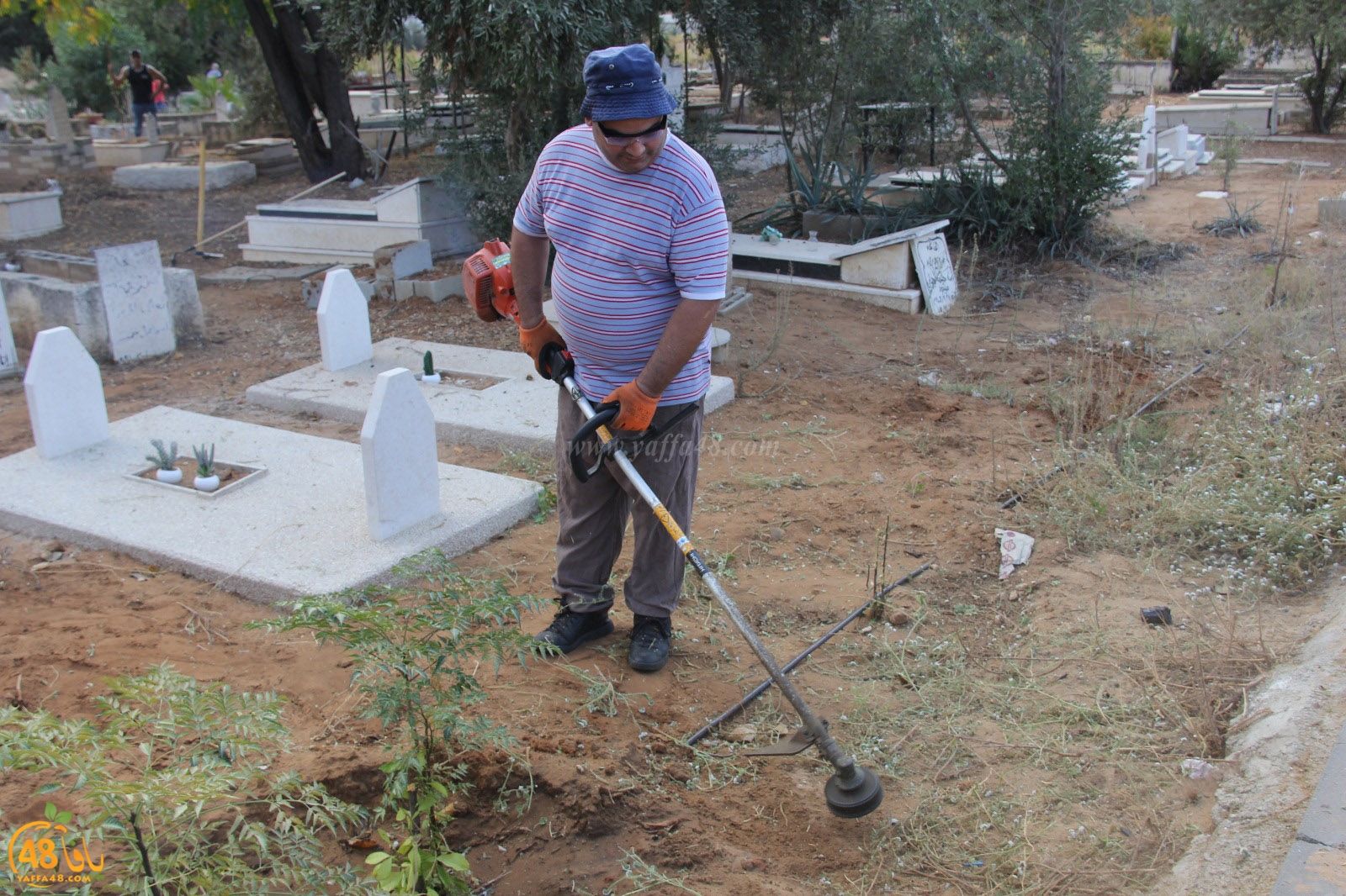 tasoo tandefet (22).jpg